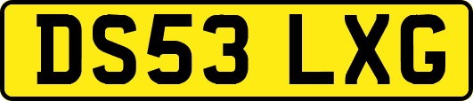 DS53LXG