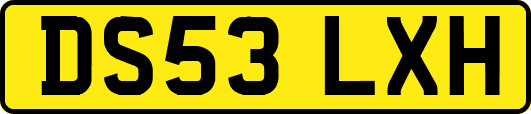DS53LXH