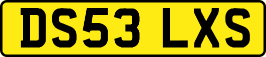 DS53LXS