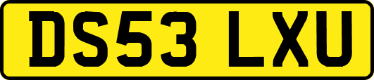 DS53LXU