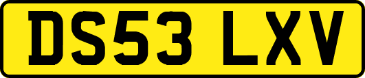DS53LXV