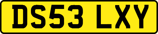 DS53LXY
