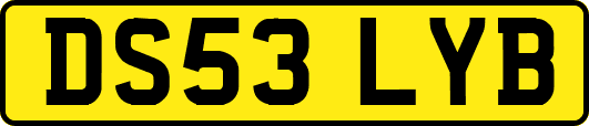 DS53LYB