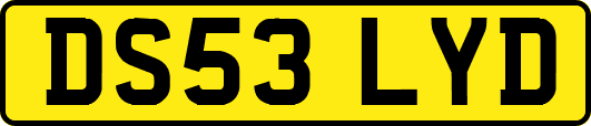 DS53LYD