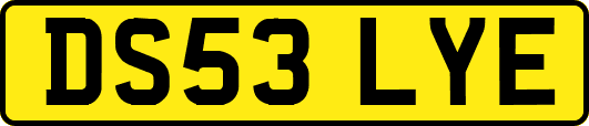 DS53LYE