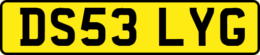 DS53LYG