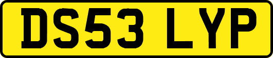 DS53LYP