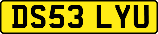 DS53LYU