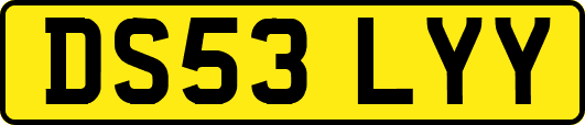 DS53LYY