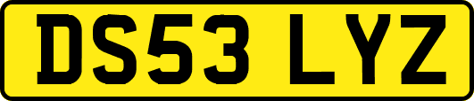 DS53LYZ
