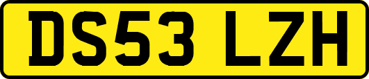 DS53LZH