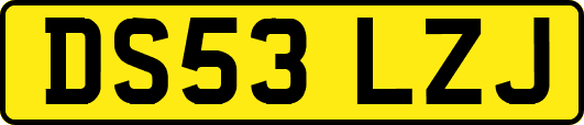 DS53LZJ