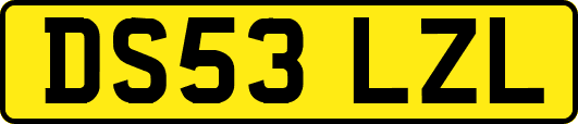 DS53LZL