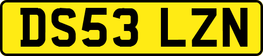 DS53LZN