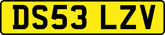 DS53LZV