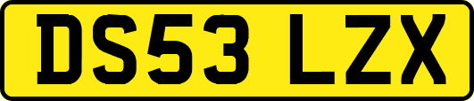 DS53LZX
