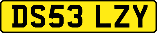 DS53LZY