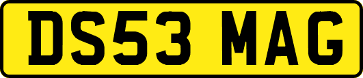 DS53MAG