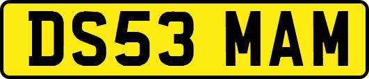 DS53MAM