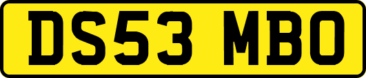 DS53MBO