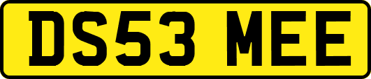 DS53MEE