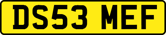 DS53MEF