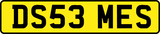 DS53MES
