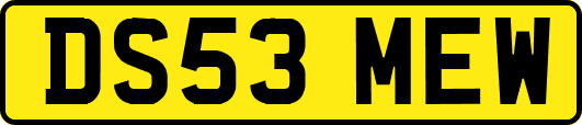 DS53MEW