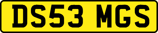 DS53MGS