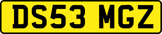 DS53MGZ