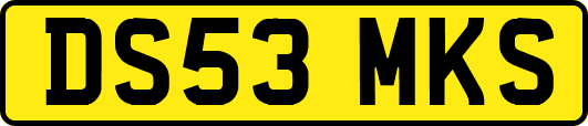 DS53MKS