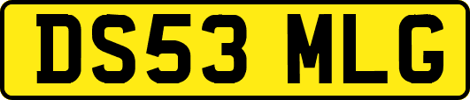 DS53MLG