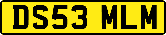 DS53MLM