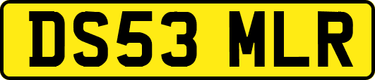 DS53MLR
