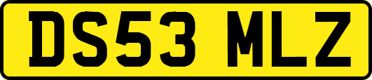 DS53MLZ
