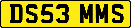 DS53MMS
