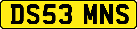 DS53MNS