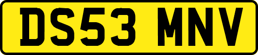 DS53MNV