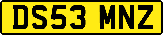 DS53MNZ