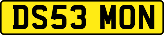 DS53MON