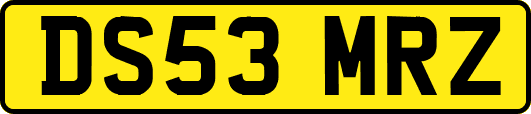 DS53MRZ
