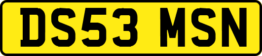 DS53MSN