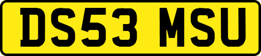 DS53MSU