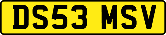 DS53MSV