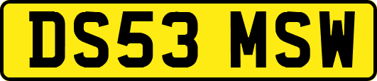 DS53MSW