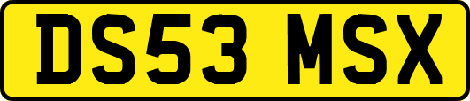 DS53MSX