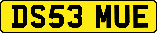 DS53MUE