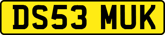 DS53MUK