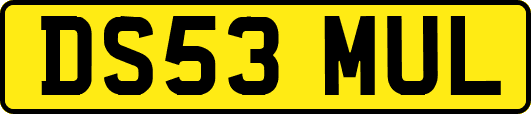 DS53MUL