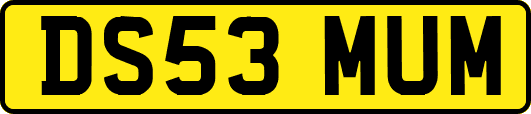DS53MUM